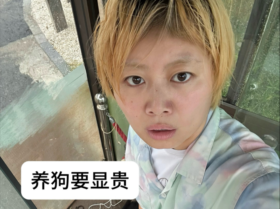 养狗要显贵 狼狈主人就不要搭配狼狈小狗