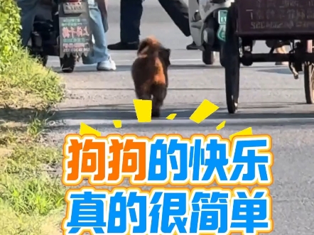 无忧无虑的真好
