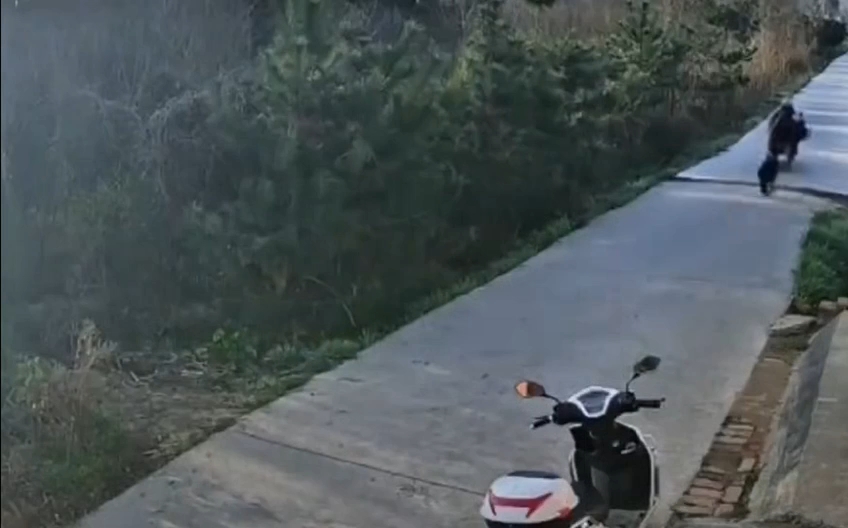 好狗不挡道 汪汪汪汪汪 ！
