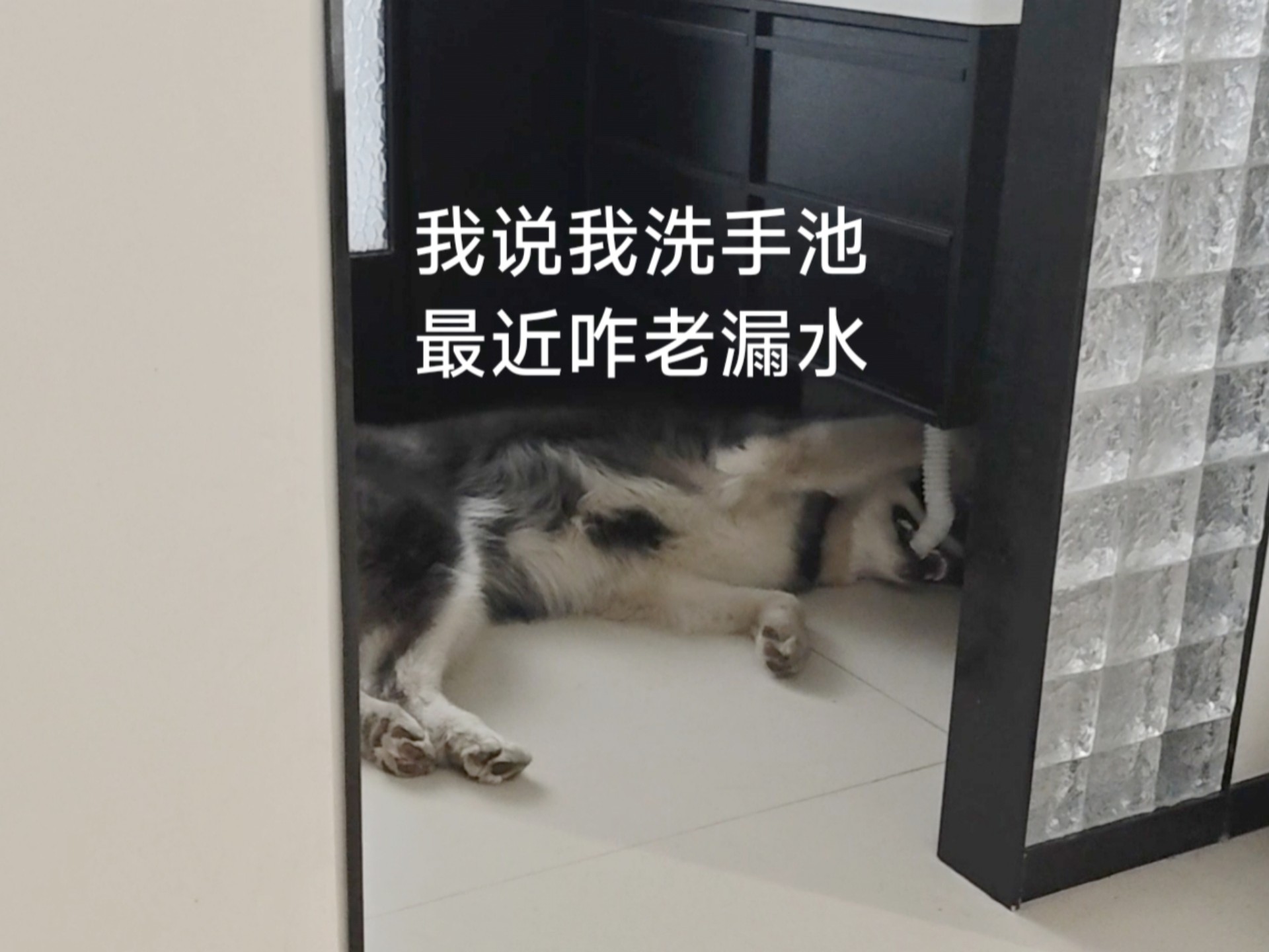 停停停，多师傅