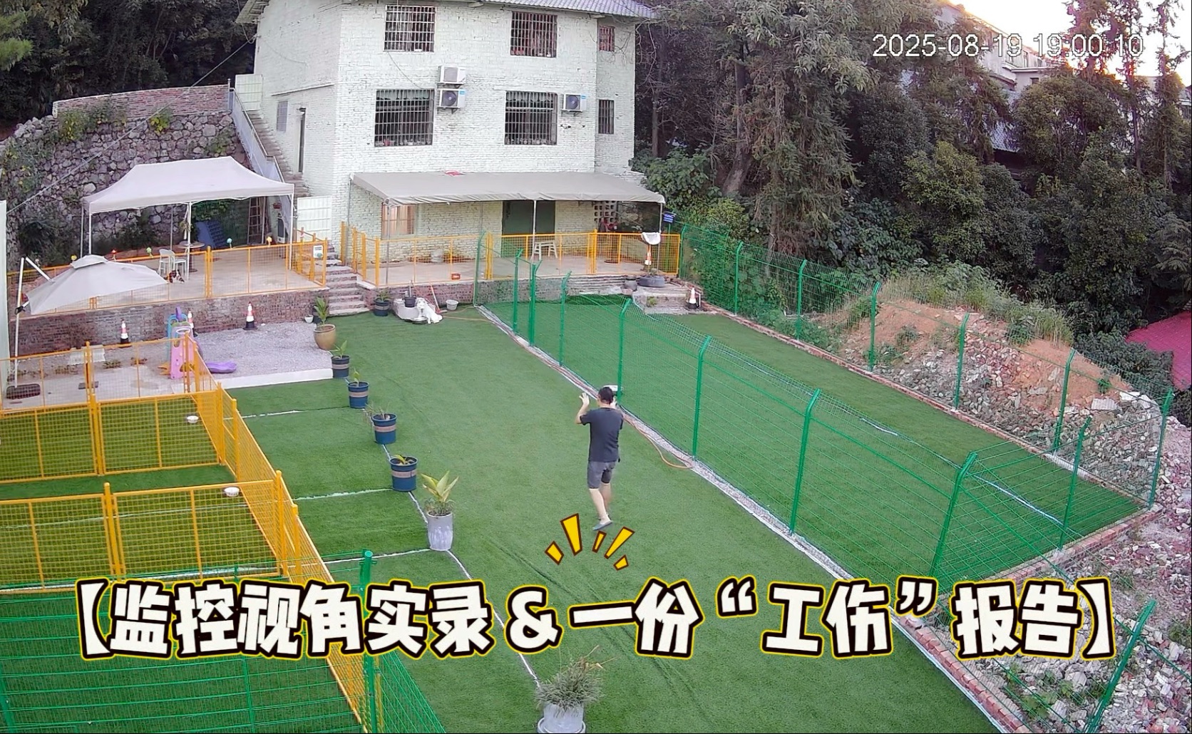 开局扮僵尸，结局⋯骨科大夫！陪玩员的“工伤”实录#狗狗幼儿园 