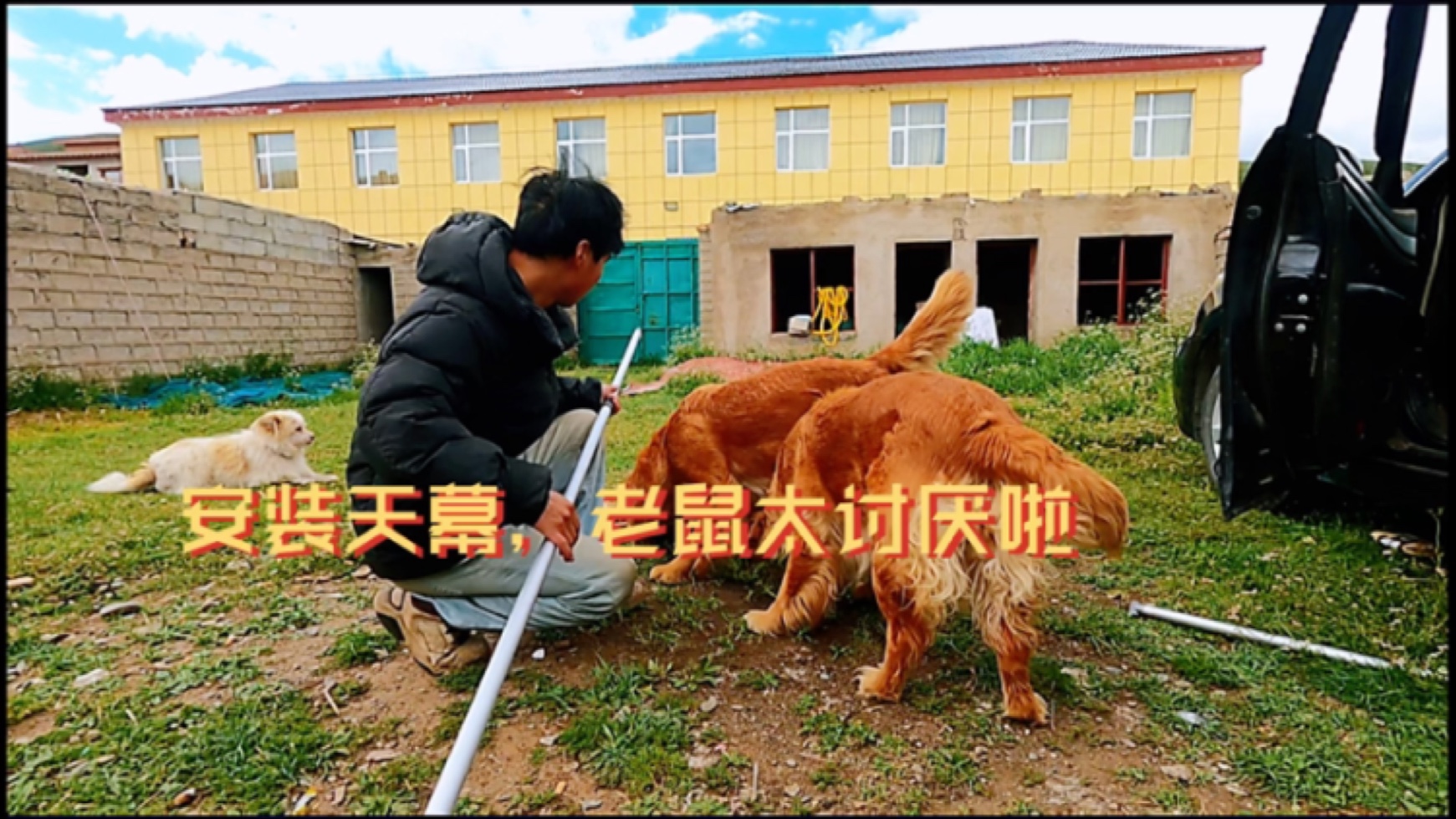 天幕的配件终于收到，滚落到富贵脚下的豆皮富贵一点不客气