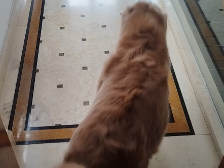你好呀！周二