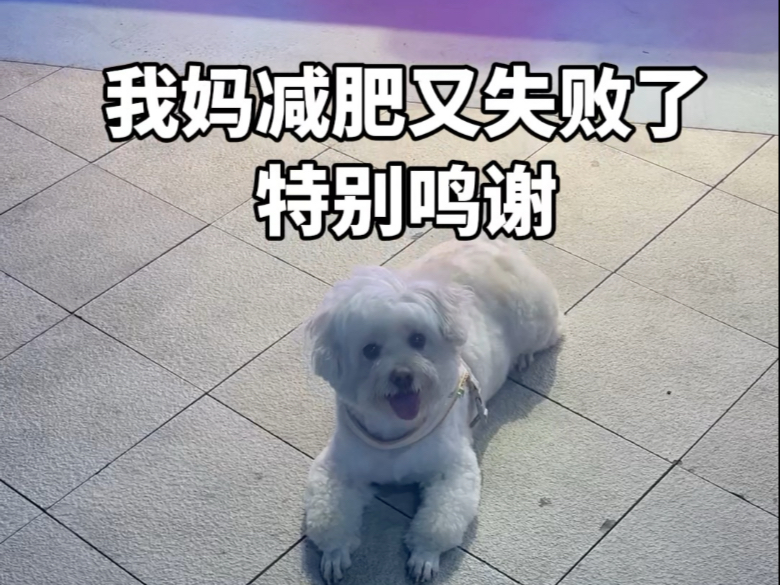 万万没想到，他们商战，俺妈胖了～