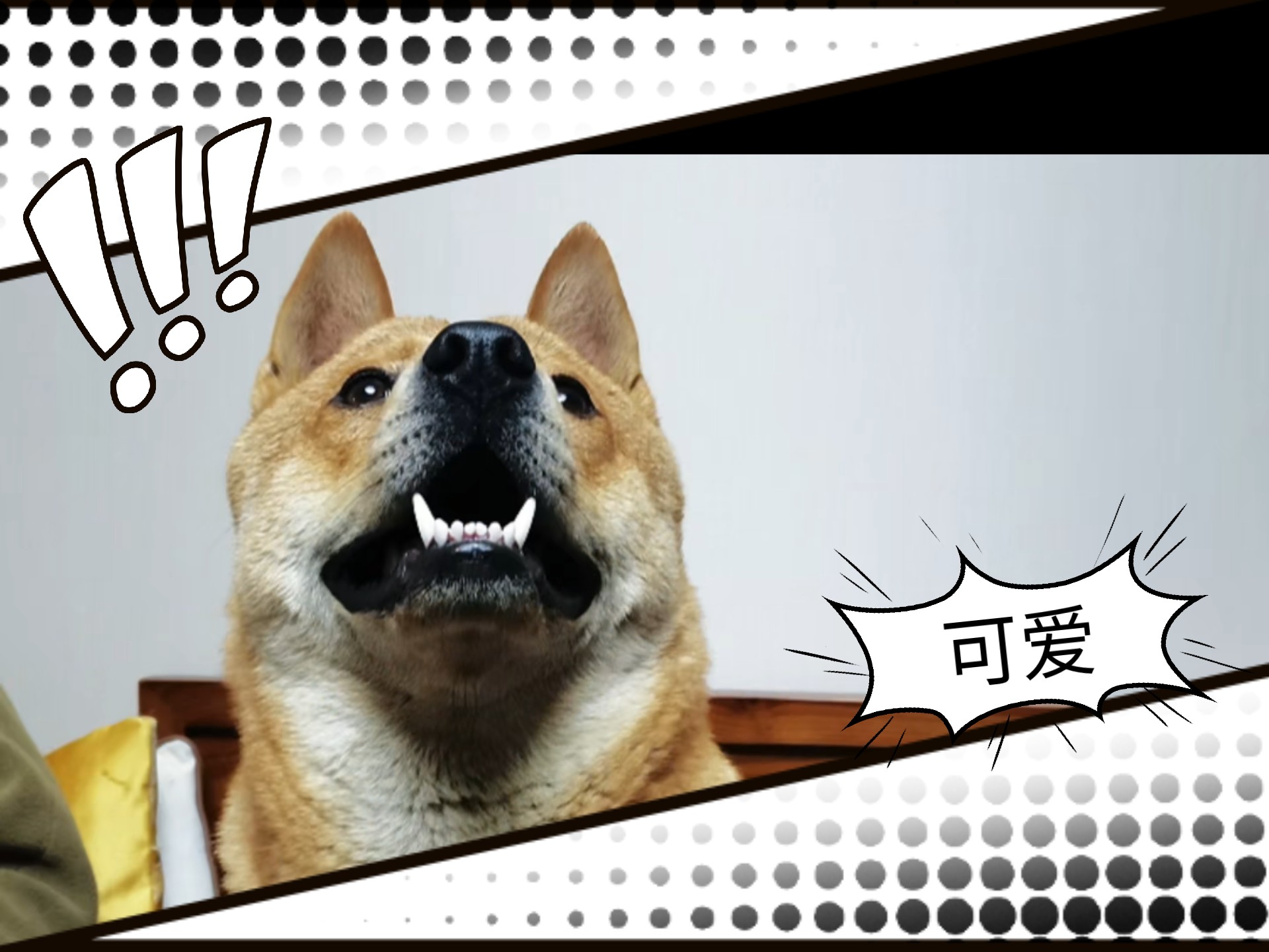 谁还没有条小裙裙