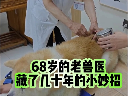 68岁的老兽医分享藏了几十年的小妙招