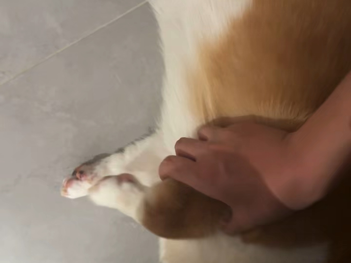 biu biu biu