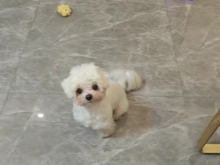 我小瓜也想吃辣火锅呀
