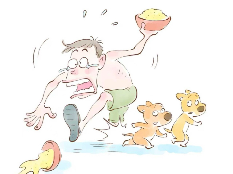 狗狗我可有眼力见啦