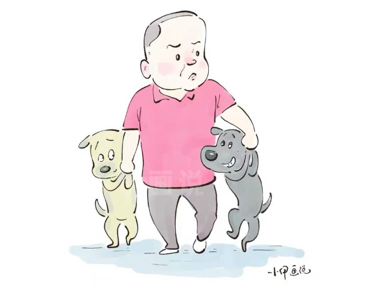 狗狗也知道过马路要牵手