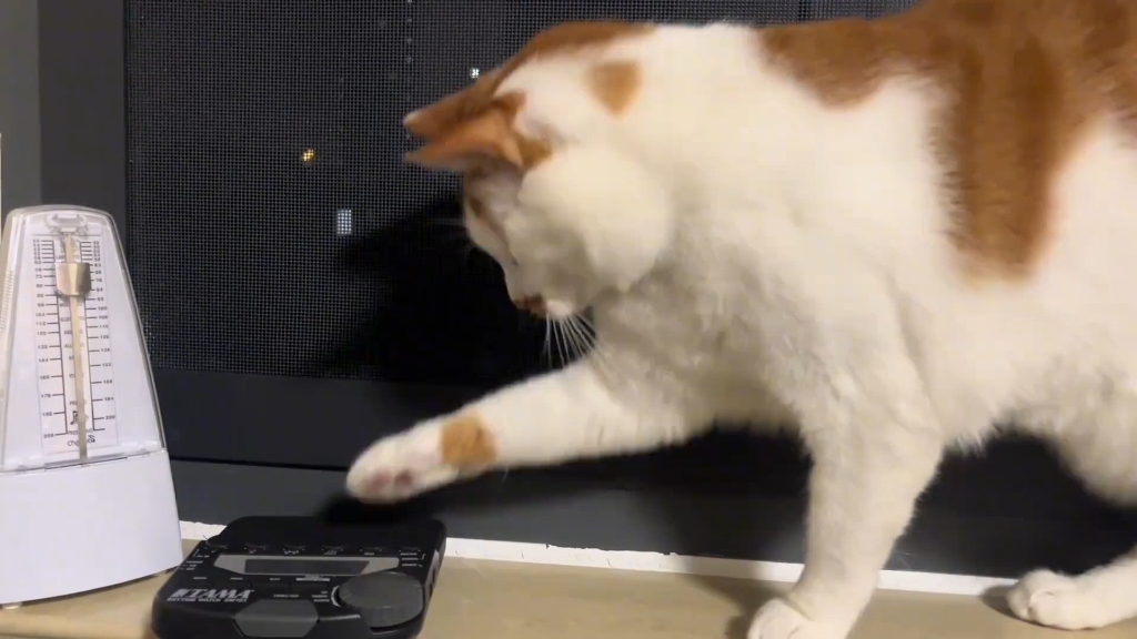 猫猫传之机械舞