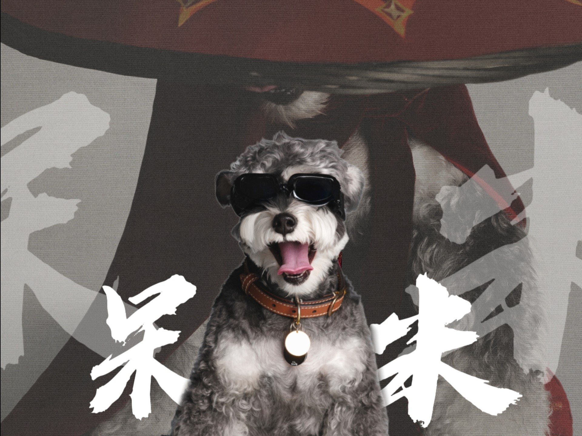 微微辣（呆米）