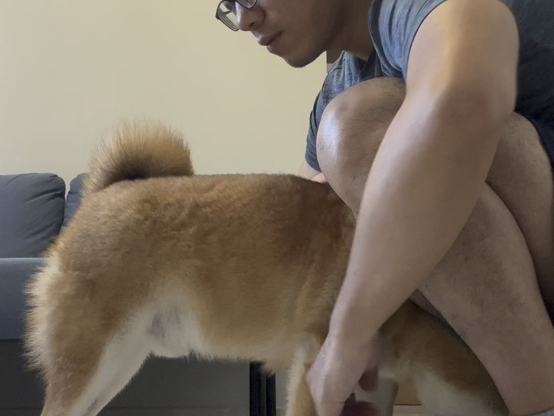 上班前和狗子的碎碎念