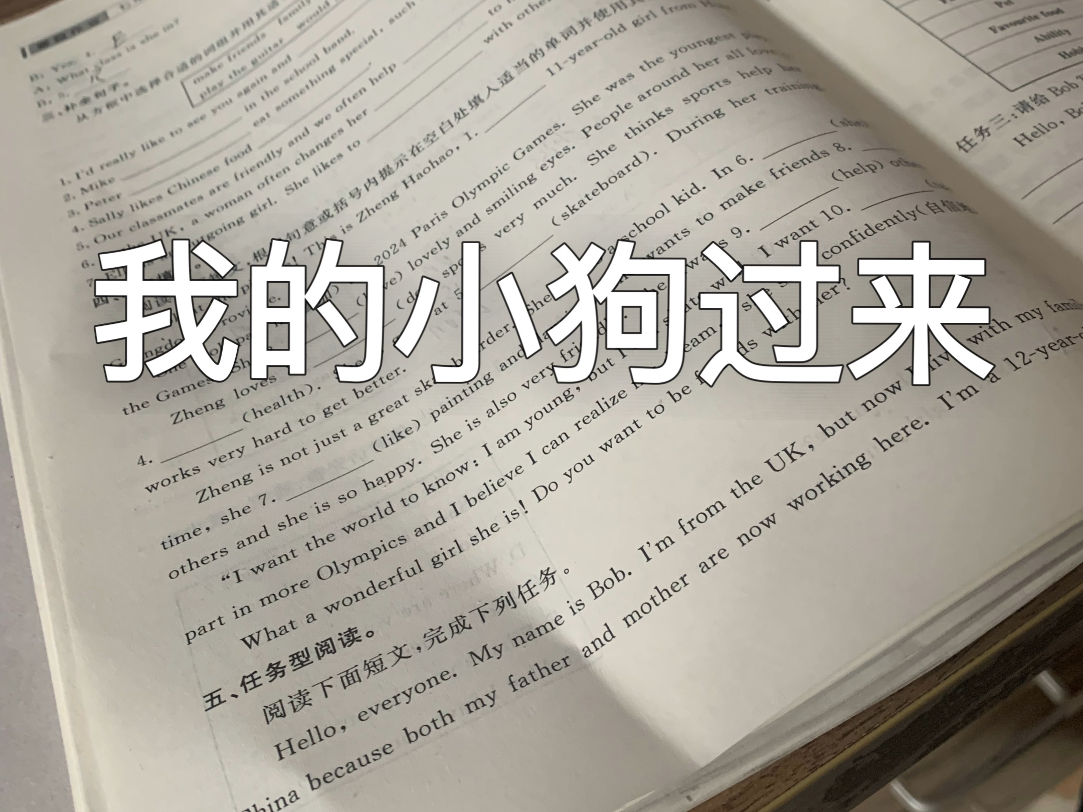 想要的小狗加我QQ啊，在主页