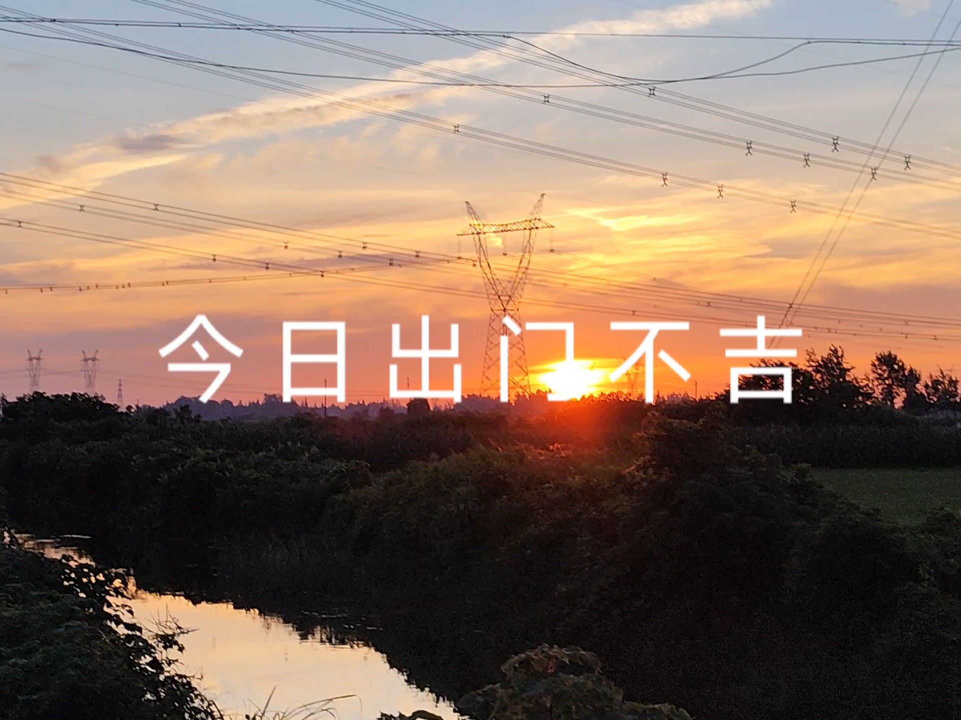 〔冷风宇宙〕我看到的小黄，浑身是血，赶走那狗就回家，反复检查，发