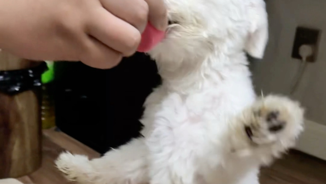 孩子开心到起飞～