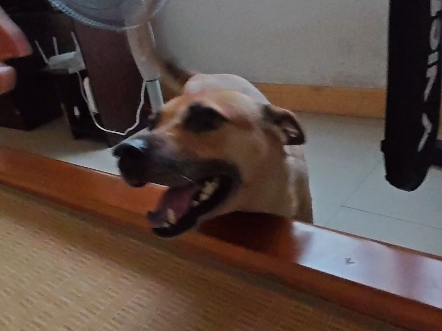 人瘾犯了，快来个人摸摸
