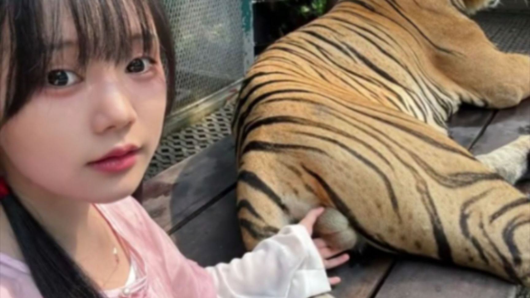 动物：“从来没这么无语过，干点人事吧”