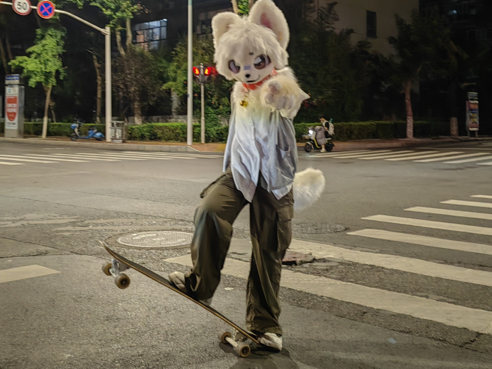 来看小狗滑滑板！！用的最喜欢音频！