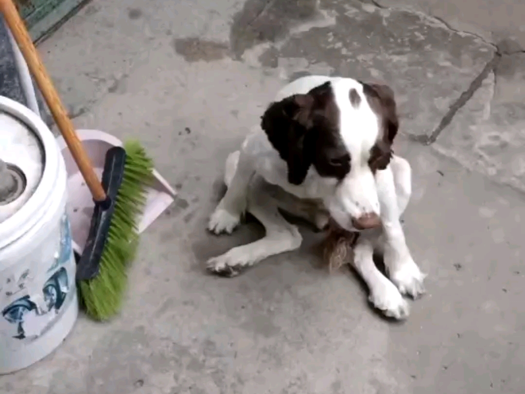 给孩子留点隐私吧