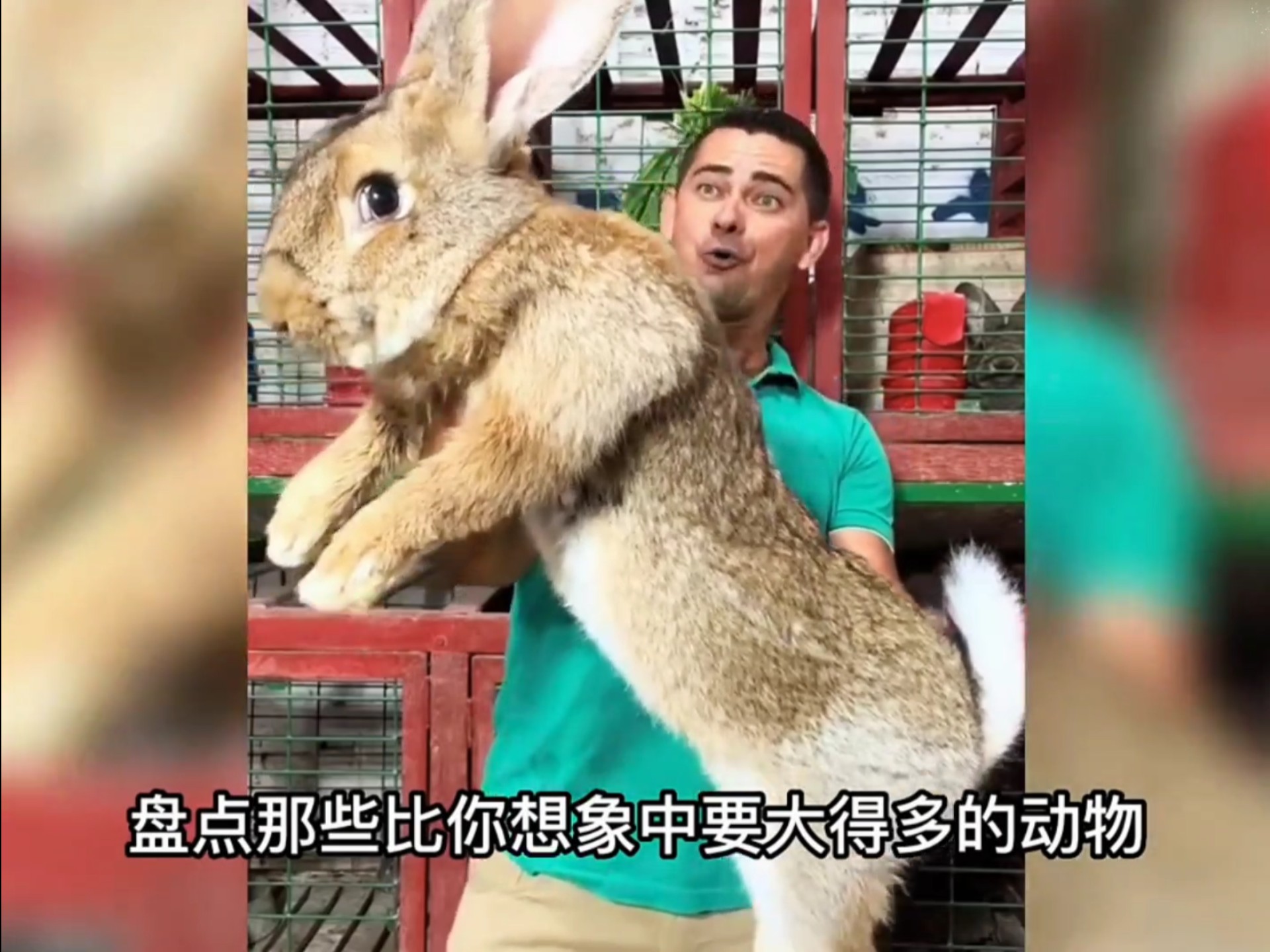 在你意料之外的动物