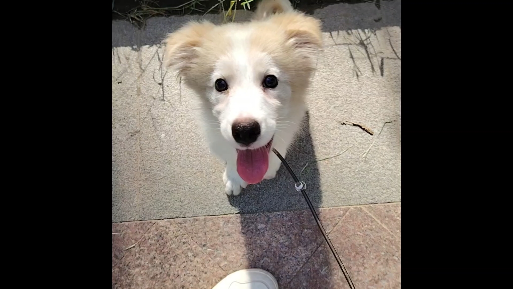 人～贴贴～