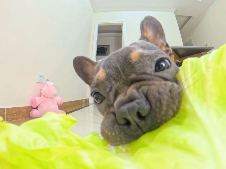 看我的小牙牙，你怕了吧！！
