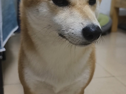 【优优呀y】新作上线，快来看看！