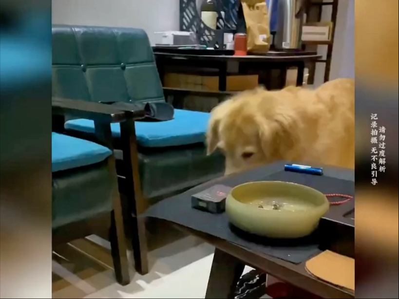 在他们眼中你就是他们的全部