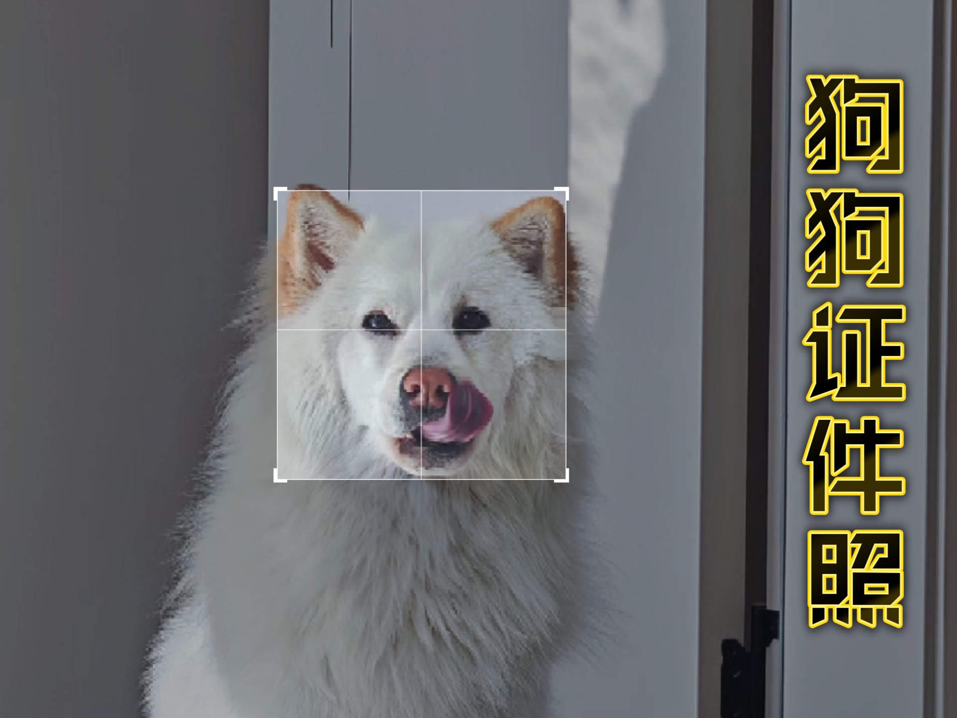 土松证件照