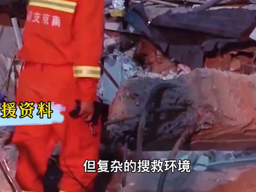 腊肠犬：吃西瓜嘛？和我一样憨憨的那种