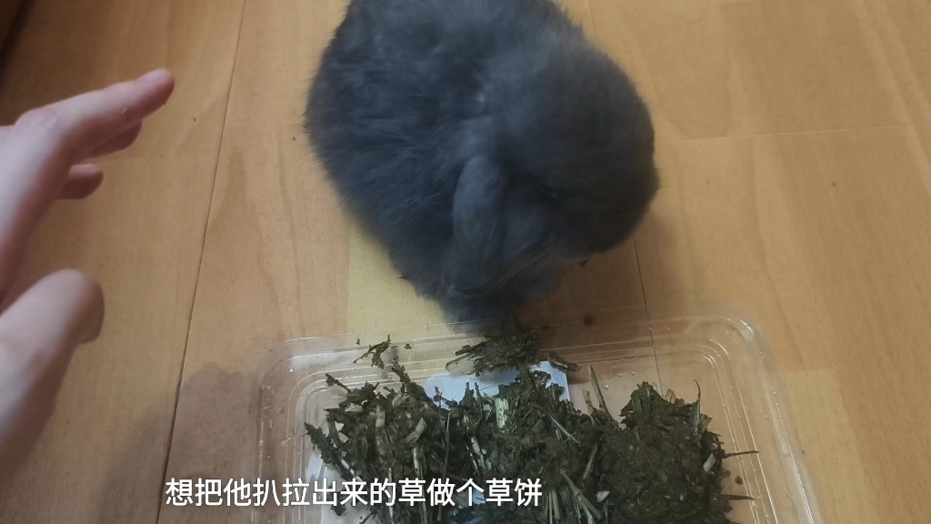 吃个草坨子。。。