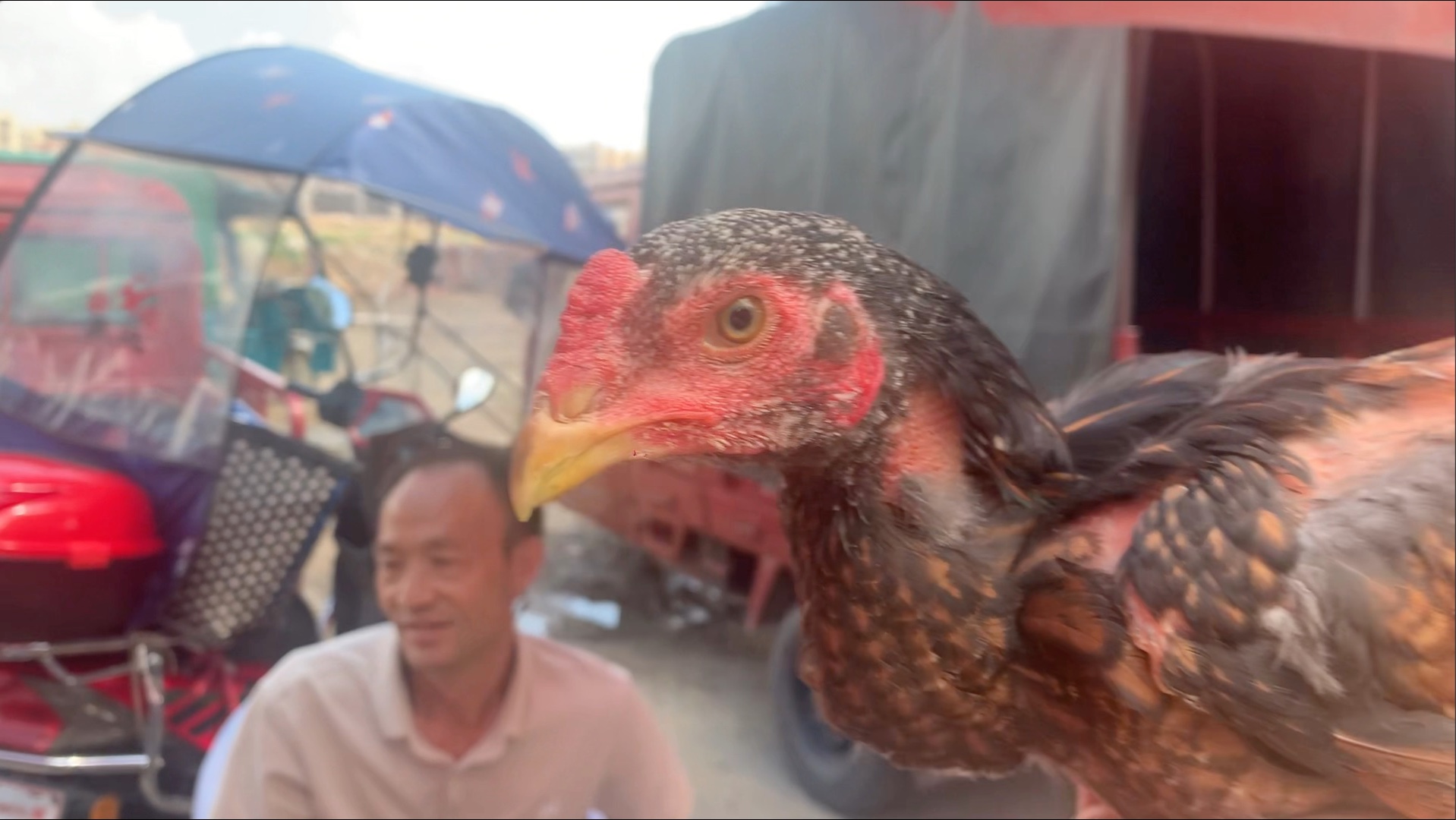 赶集了