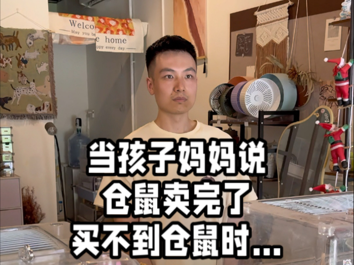 当孩子妈妈说仓鼠卖完了买不到仓鼠时…