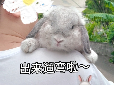 兔兔出去遛弯啦