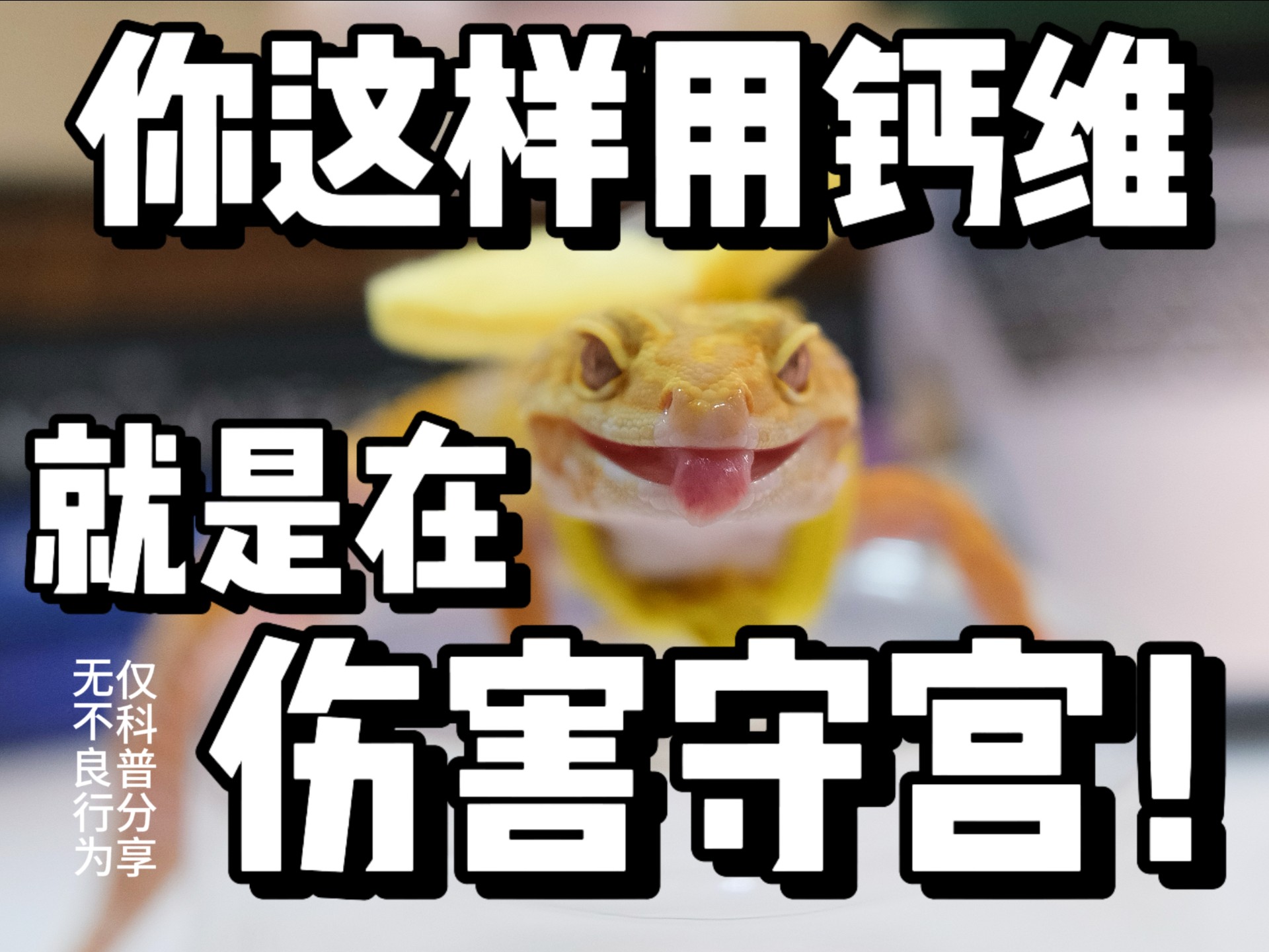 你这样用钙维会伤害到守宫!