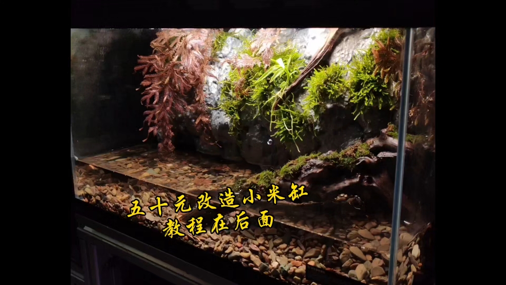 五十块改造小米缸