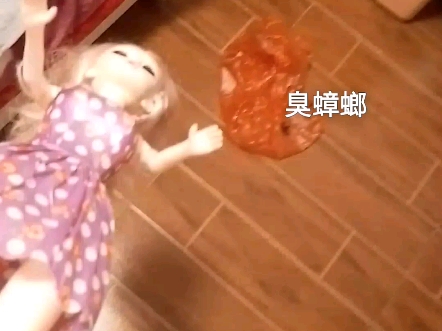 蟑螂爬到我床上(꒪⌓꒪) 被吓死了