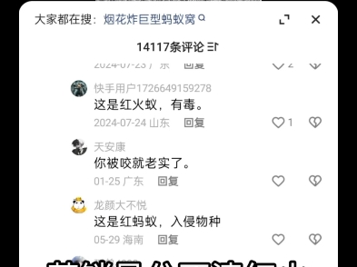 我管你的，帽子先扣起来