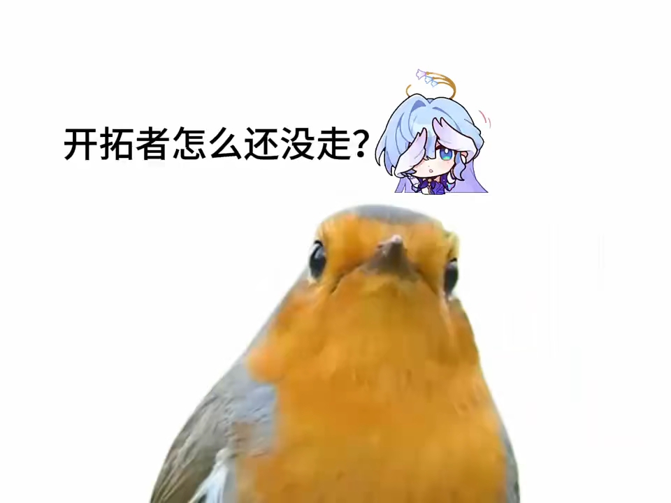 又到周日了