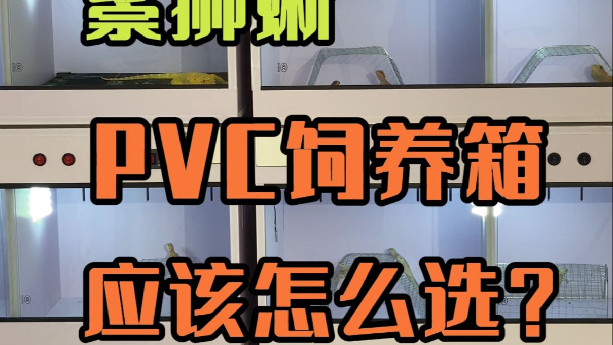 鬃狮蜥饲养箱怎么选，pvc饲养箱怎么选，鬃狮蜥饲养箱温控器