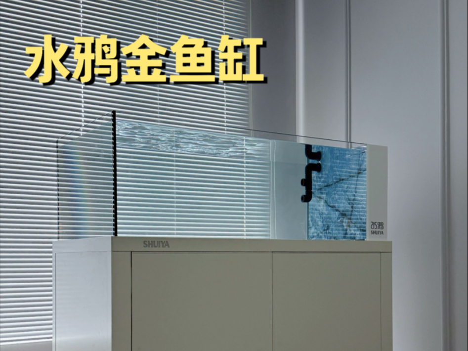 鱼友的两台缸差价10倍！自己动手Diy手搓鱼缸和水鸦金鱼缸你们