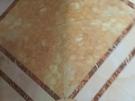 鱼饲料买错害死一片鱼，难受呀，养这么大了