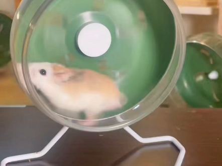 风扇跑轮