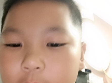 带你们看我养的仓鼠。他的名字就叫小鼠。因为不想给他取名字
