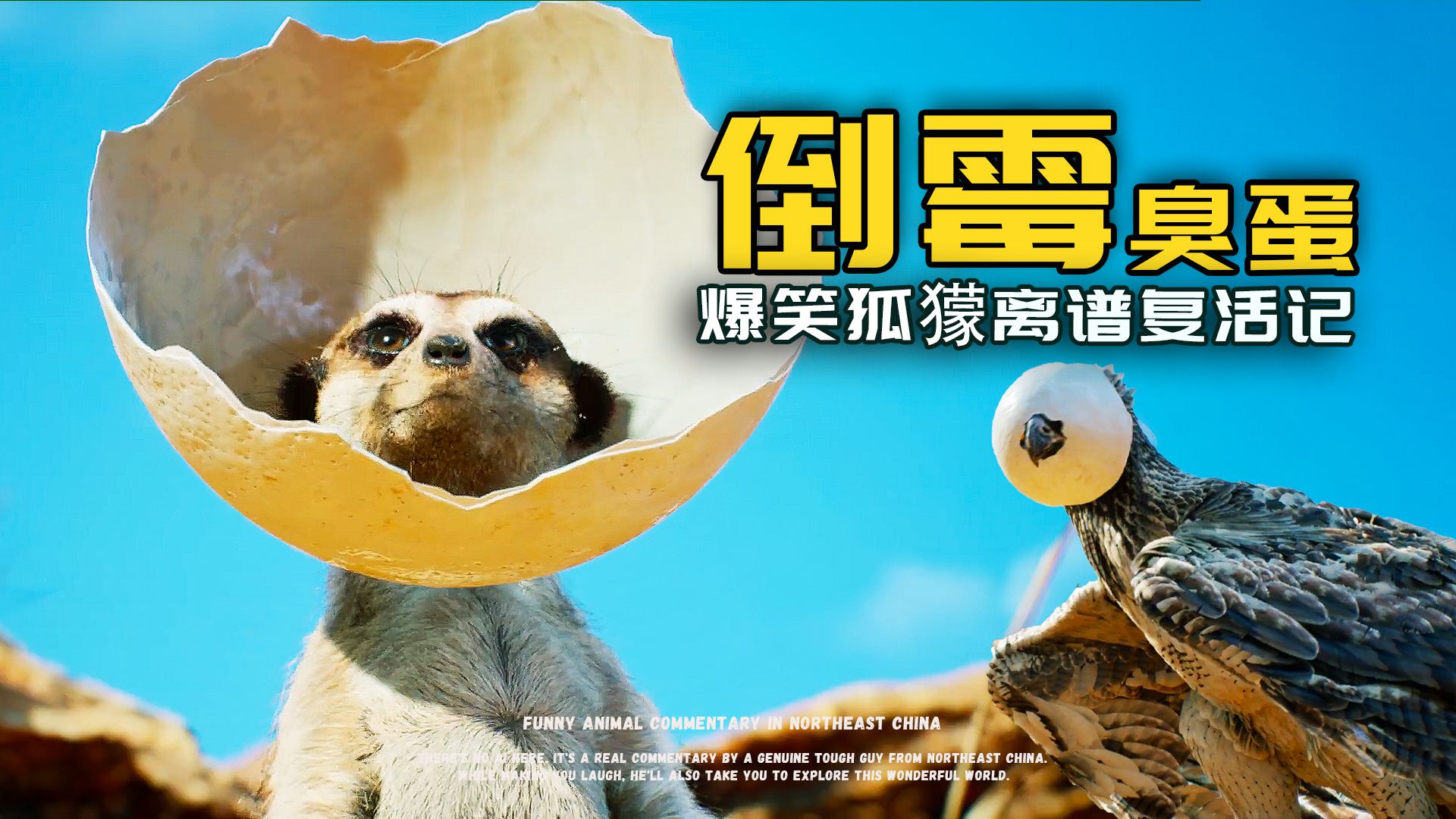 狐獴：这个坏鸵鸟蛋，真是太臭了！！！哈哈