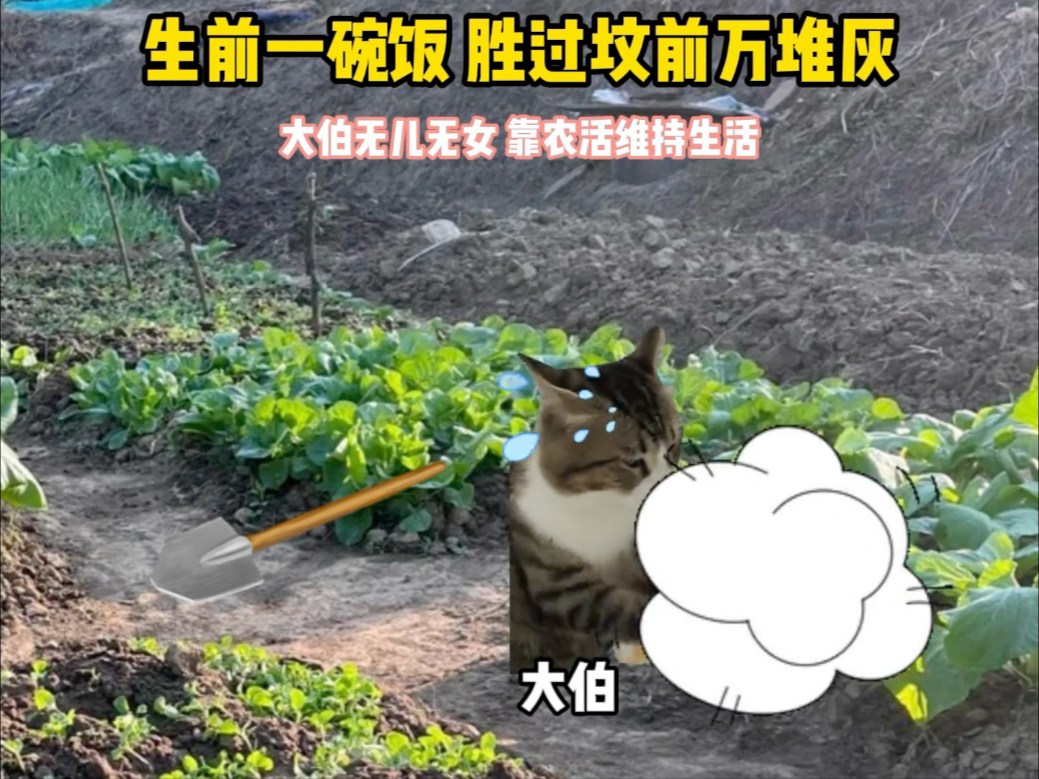 侄子门前站，不算绝户汉