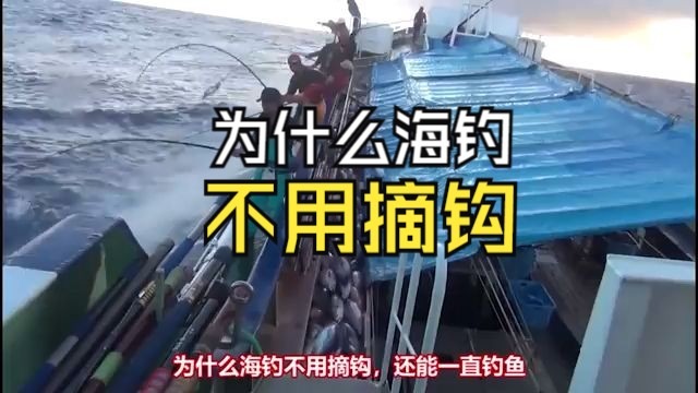 为什么海钓不用摘钩，还能一直钓鱼