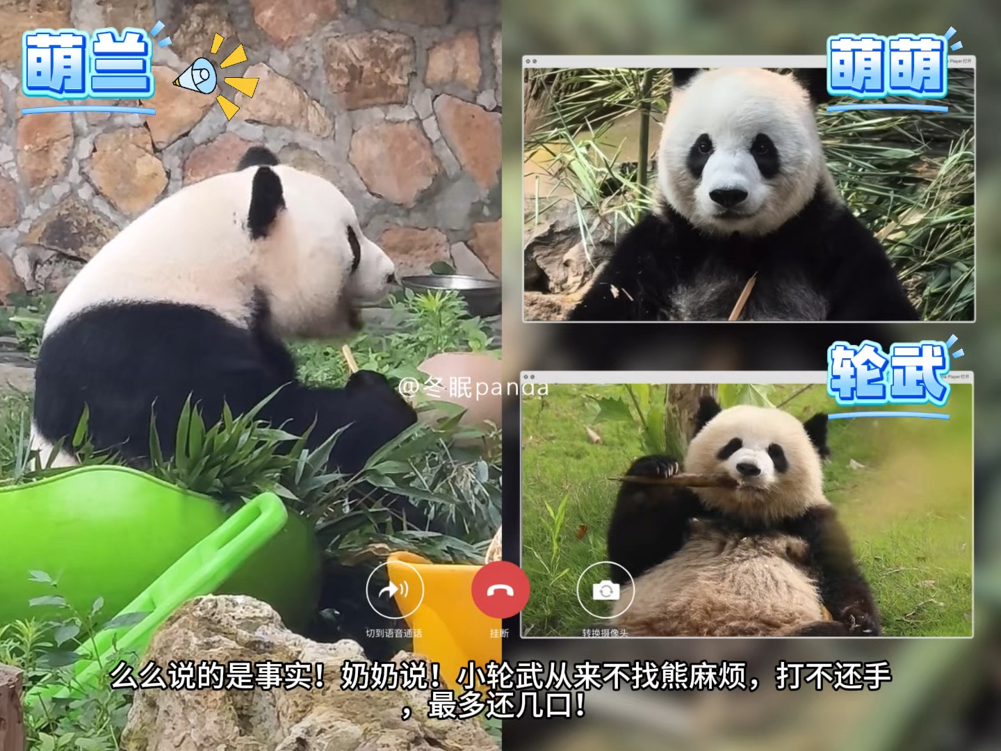 小鳌拜轮武，被萌兰夸到心花怒放