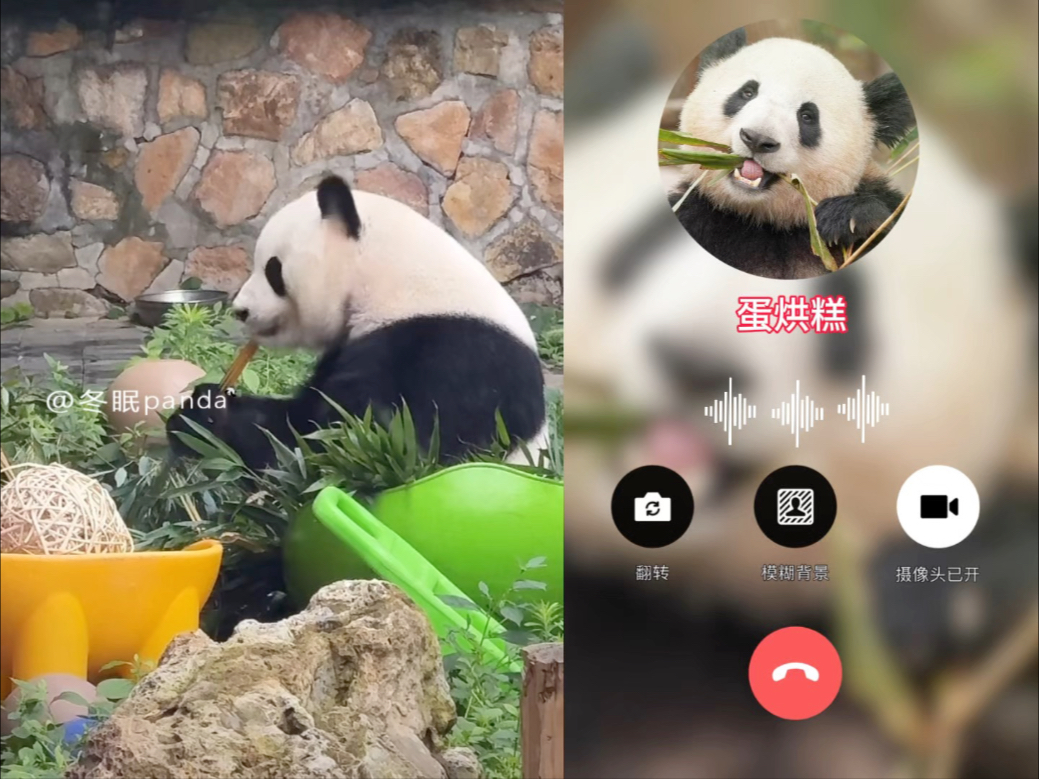萌兰找蛋烘糕打听文静出差的事